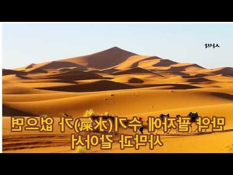 壬水 甲木